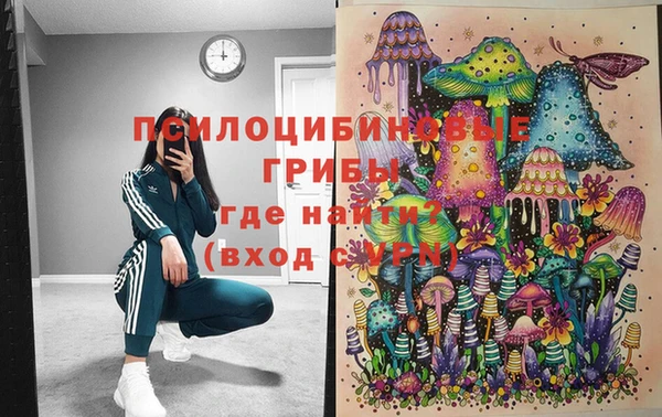 меф Горняк