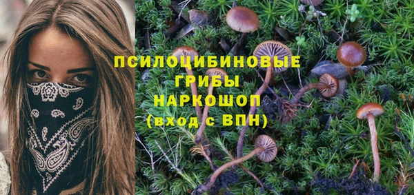 меф Горняк