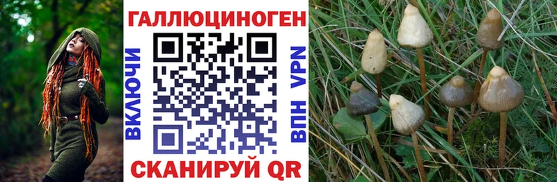 Псилоцибиновые грибы MAGIC MUSHROOMS Михайловка