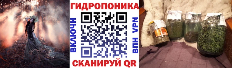 Марихуана Amnesia  Купить где  Михайловка 